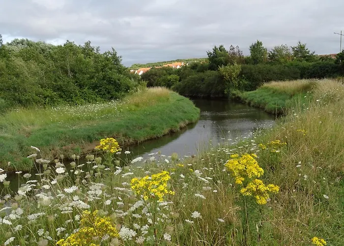度假居 Du Dans Les Toiles *